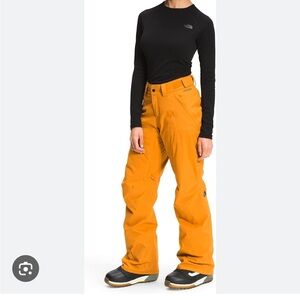 The North Face Freedom Insulated Ski Pants